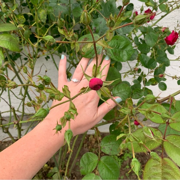 Meet your Posher, Lola - Picture 5 of 11